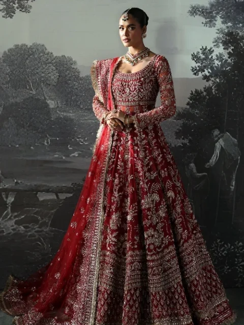 Afrozeh | Elegant Blood Red Polyester Net 3 Piece Embroidered Maxi Festive Party Wear Set