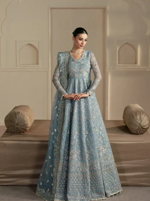 Afrozeh | Elegant Powder Blue Organza 2 Piece Embroidered A-Line Maxi Set