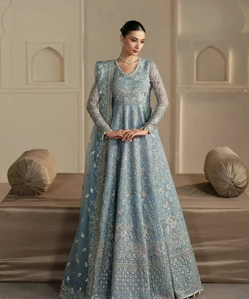 Afrozeh | Elegant Powder Blue Organza 2 Piece Embroidered A-Line Maxi Set