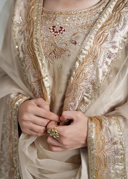 Truba | Elegant Beige Chiffon 3 Piece Festive Suit - Image 3