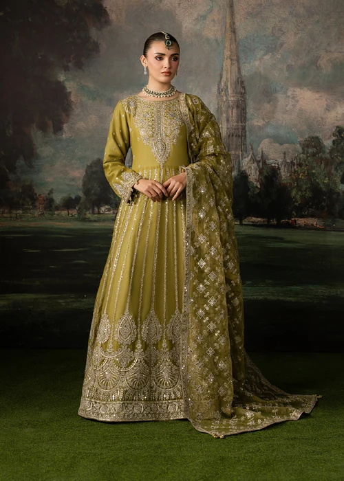 Truba | Elegant Olive Green Chiffon Anarkali Maxi 3 Piece Formal Suit