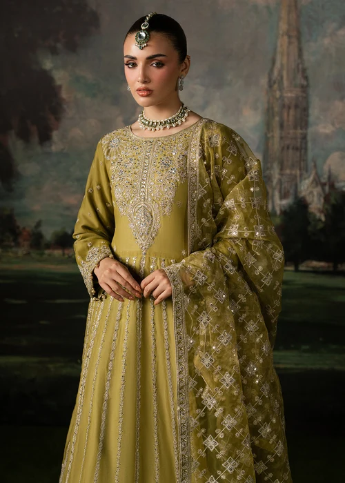 Truba | Elegant Olive Green Chiffon Anarkali Maxi 3 Piece Formal Suit - Image 4