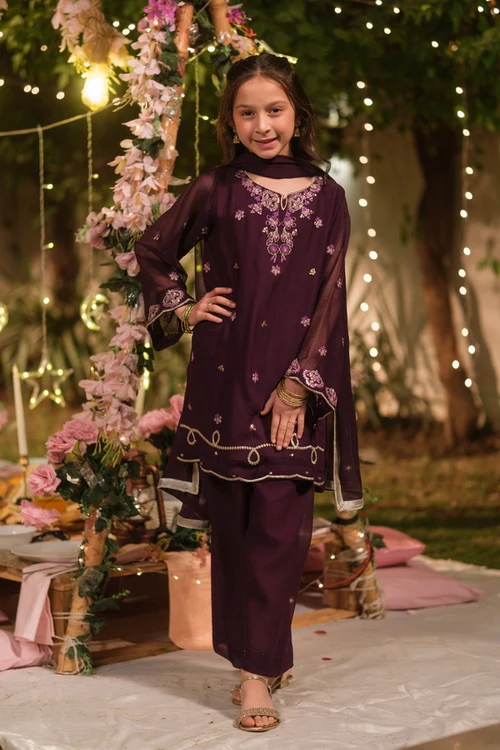 Sprinkles Purple 3 Piece Suit | Elegant Embroidered Chiffon